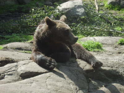 Nach den blichen Interviews